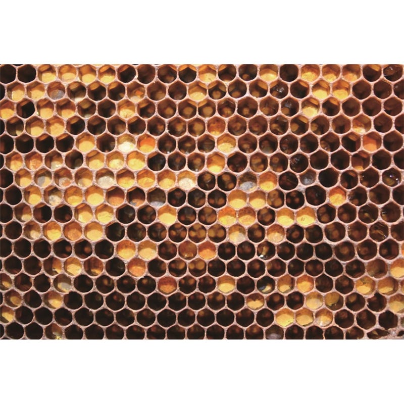 Baocicco 7x5ft Baby Shower Backdrop Real Apiary Honeycomb Bee Nest Beehive Backdrop Photography Background Happy Birthday Honeymoon Girls Boys Birthday Party Newborn Adults Portrait Studio Props - Image 1